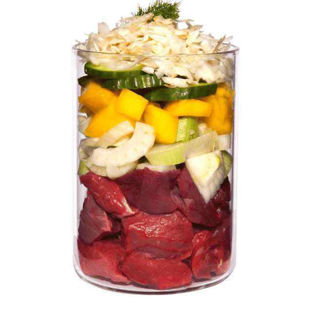 Terra Canis Light Menu Dog Wet Food Beef