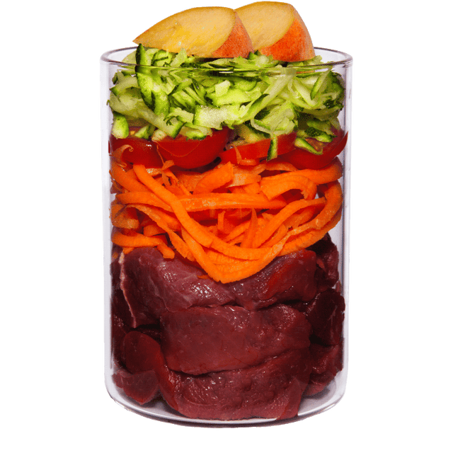 Terra Canis Light Menu Dog Wet Food Game