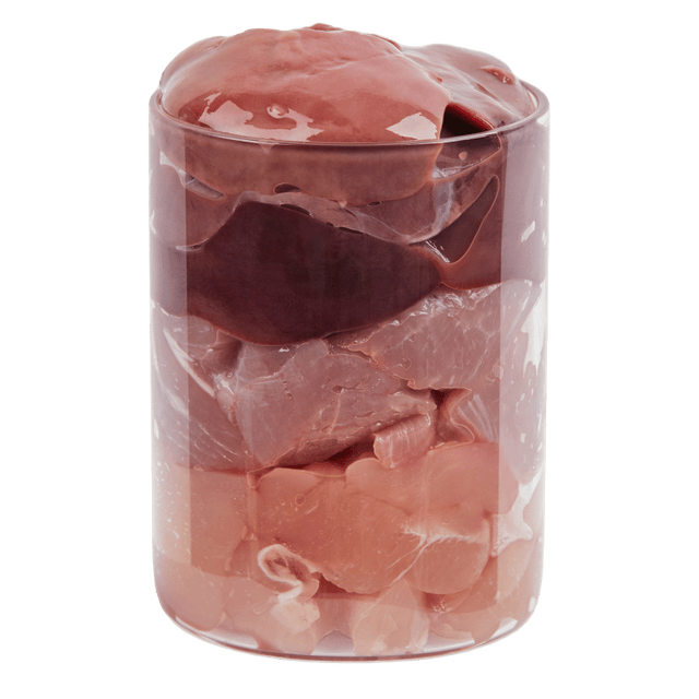 Terra Canis Butcher's Best Dog Wet Food Pure Turkey