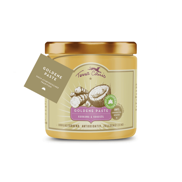 Terra Canis Golden Paste For Dogs
