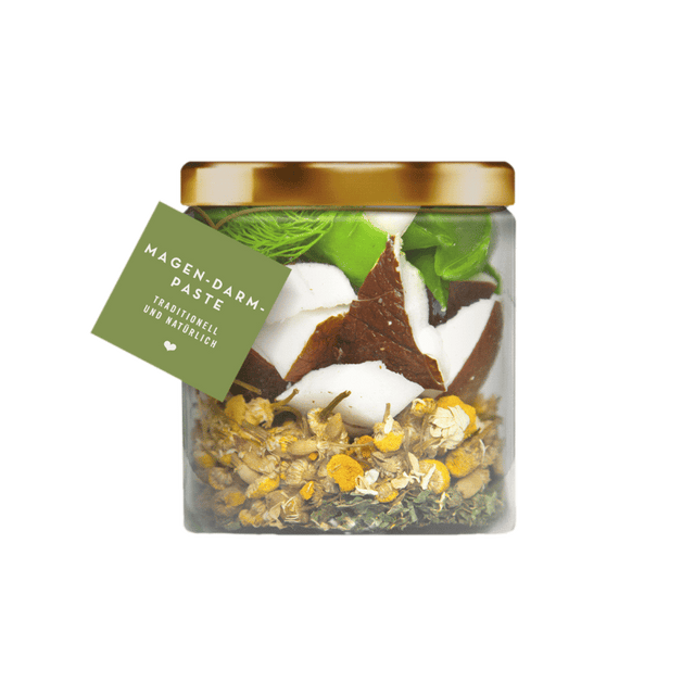 Terra Canis Gastrointestinal Paste For Dogs