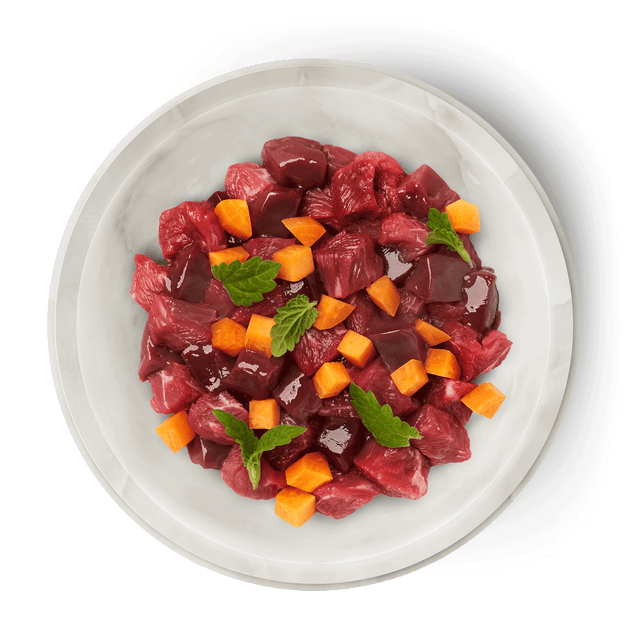 Terra Felis Grain Free Kitten Wet Food, Beef