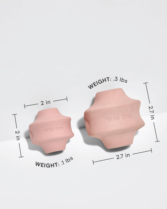 Wild One Dog Toy Twist Toss - Pink