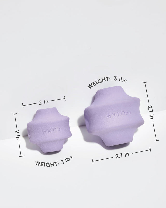Wild One Dog Toy Twist Toss - Lilac