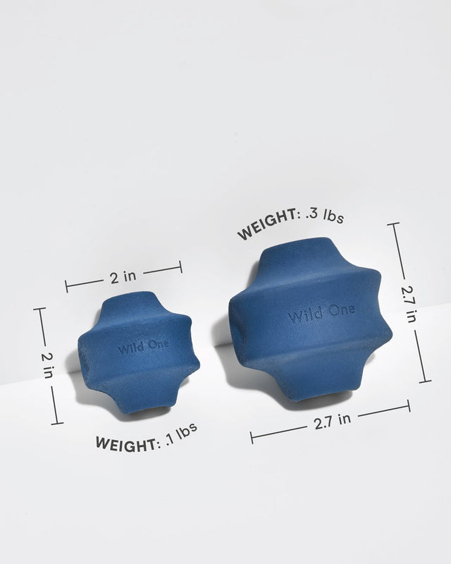 Wild One Dog Toy Twist Toss - Navy
