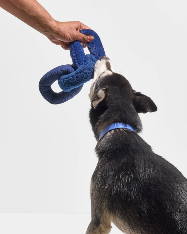Wild One Dog Toy Chew Chain - Navy