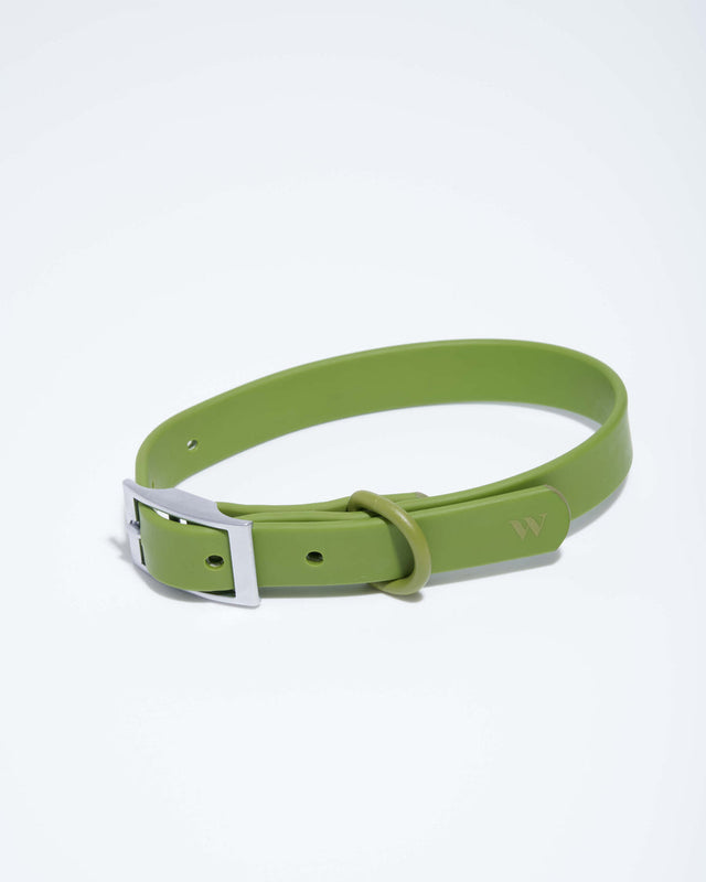 Wild One Dog Collar -  Moss ✨ Limited Edition