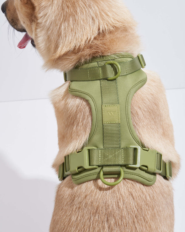 Wild One Dog Harness 2.0 - Moss ✨ Limited Edition
