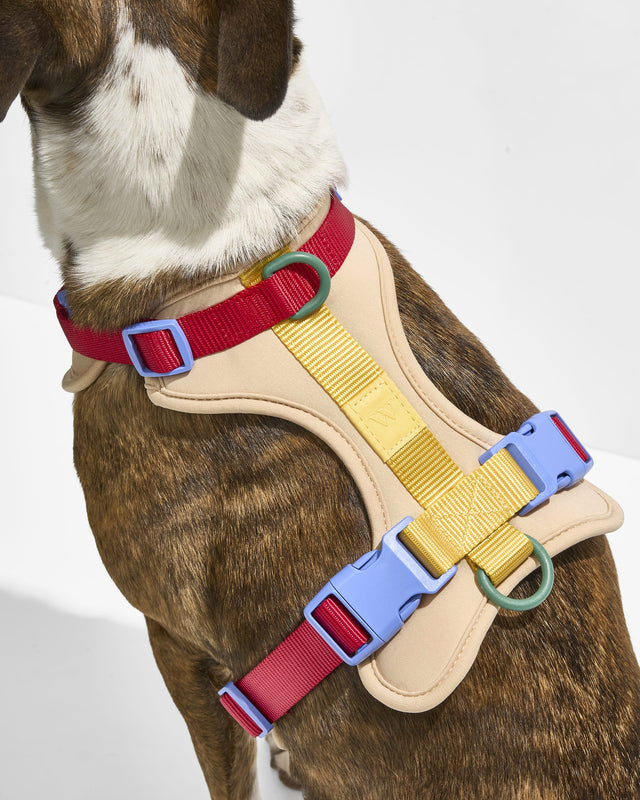 Wild One Dog Harness 2.0 - Retro