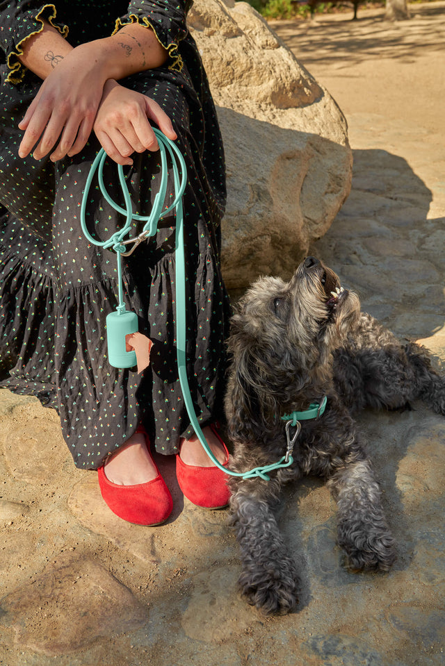Wild One Poop Bag Carrier 2.0 - Seafoam Limited Edition