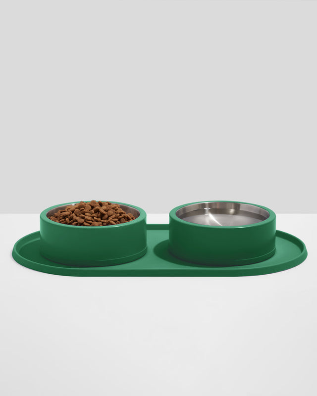 Wild One Dog Feeding Placement - Spruce