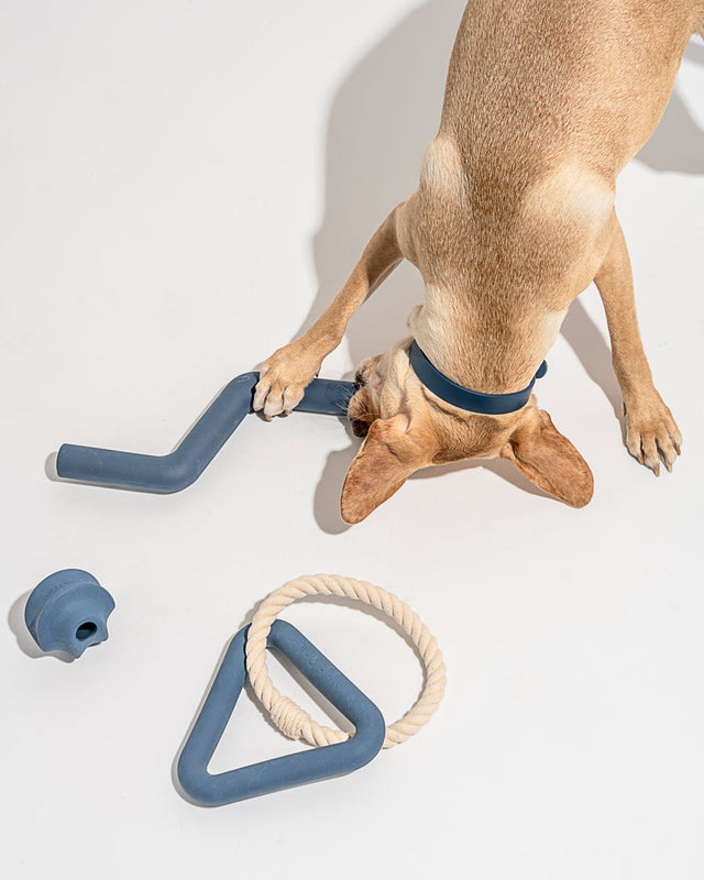 Wild One Dog Toy Kit