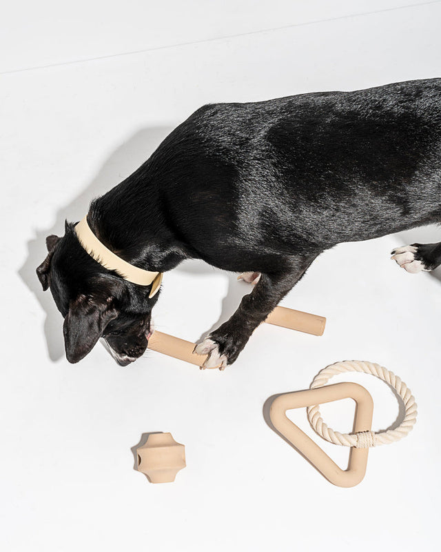 Wild One Dog Toy Kit
