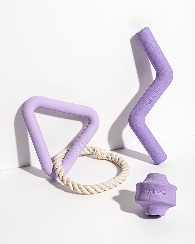Wild One Dog Toy Kit