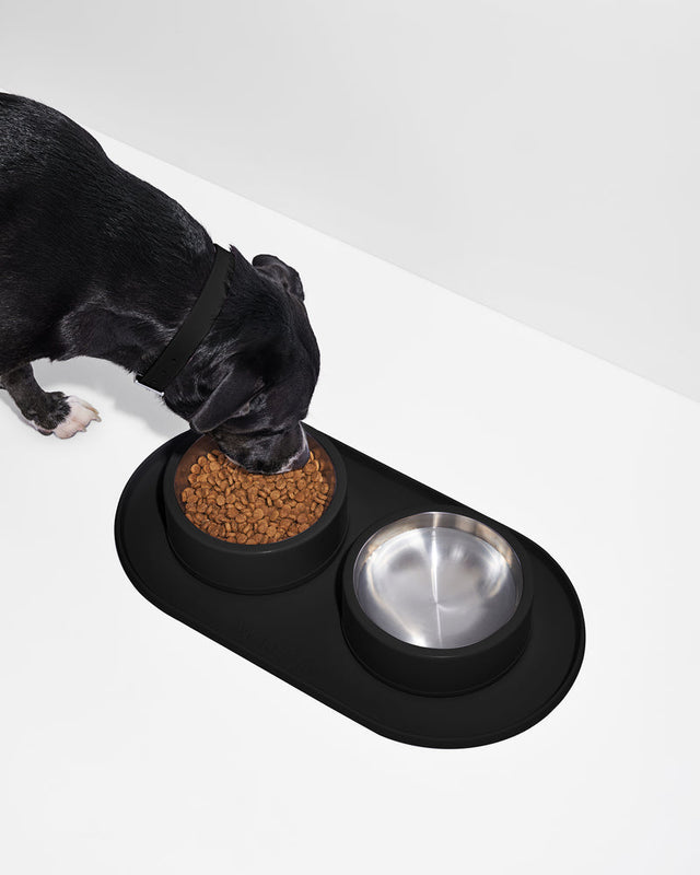 Wild One Dog Feeding Placement -Black