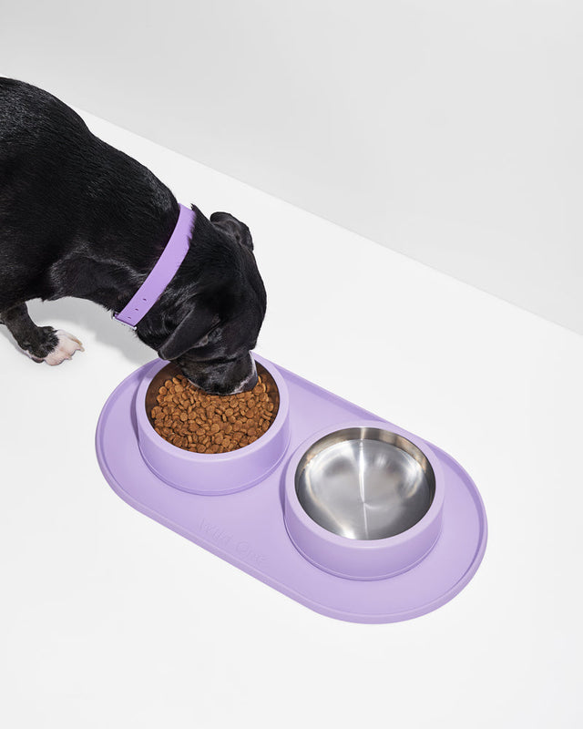 Wild One Dog Mealtime Kit