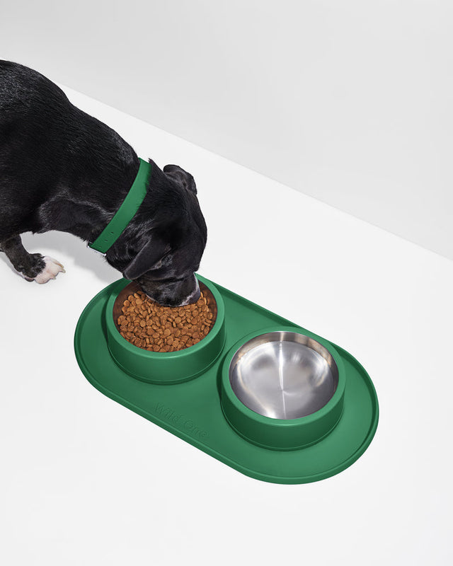 Wild One Dog Feeding Placement - Spruce