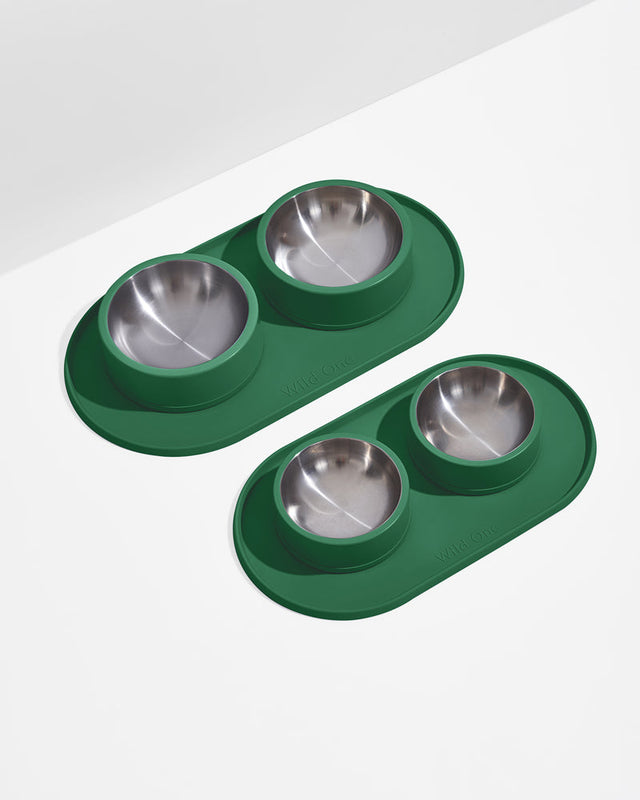 Wild One Dog Feeding Placement - Spruce