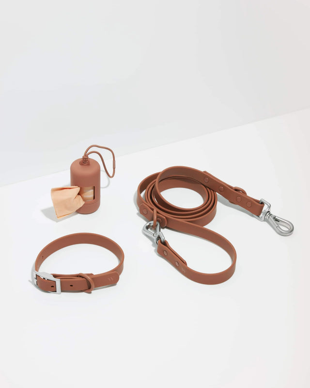 Wild One Dog Collar Walk Kit