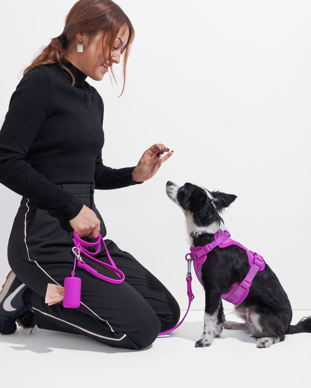 Wild One Poop Bag Carrier 2.0 - Orchid Limited Edition