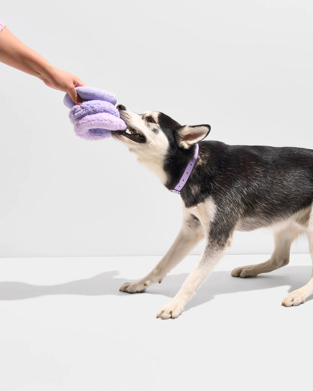 Wild One Dog Toy Tennis Tuft - Lilac