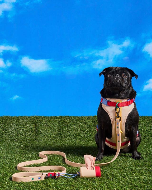 Wild One Dog Harness 2.0 - Retro