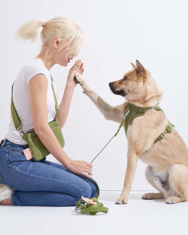 Wild One Dog Harness 2.0 - Moss ✨ Limited Edition