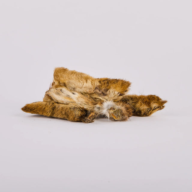 Laila and Me Wild Rabbit Legs