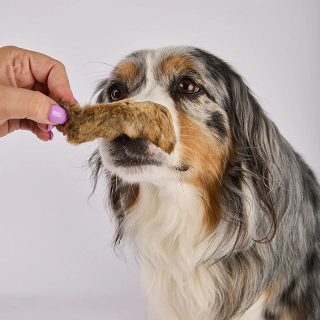 Laila and Me Wild Rabbit Legs