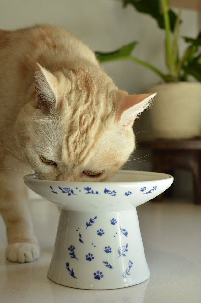 Necoichi Raised Cat Food Bowl Extra Wide (Nordic Blue)