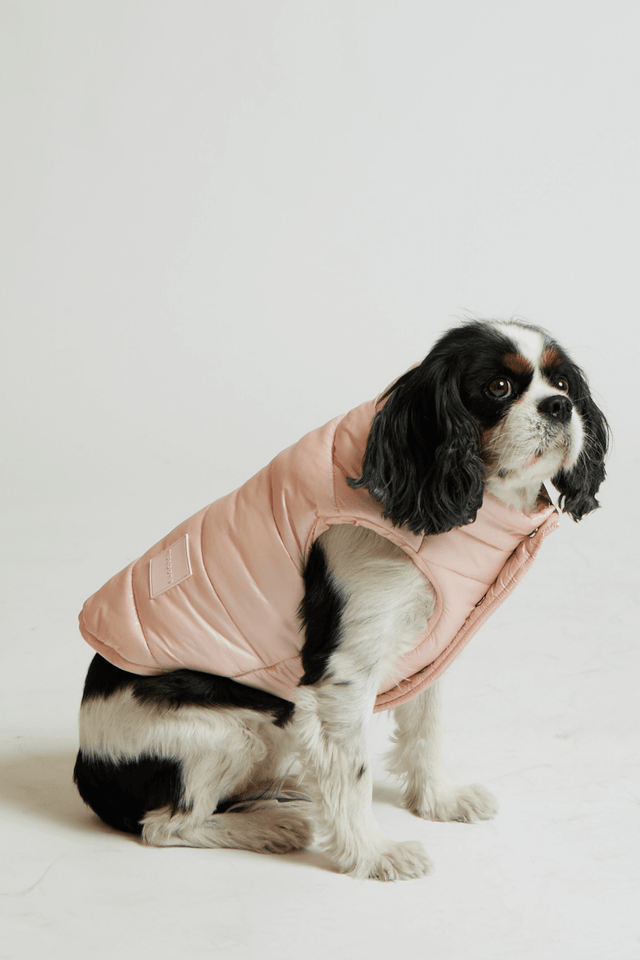 Max Bone Arabella Puffer Vest - Pearl Peach