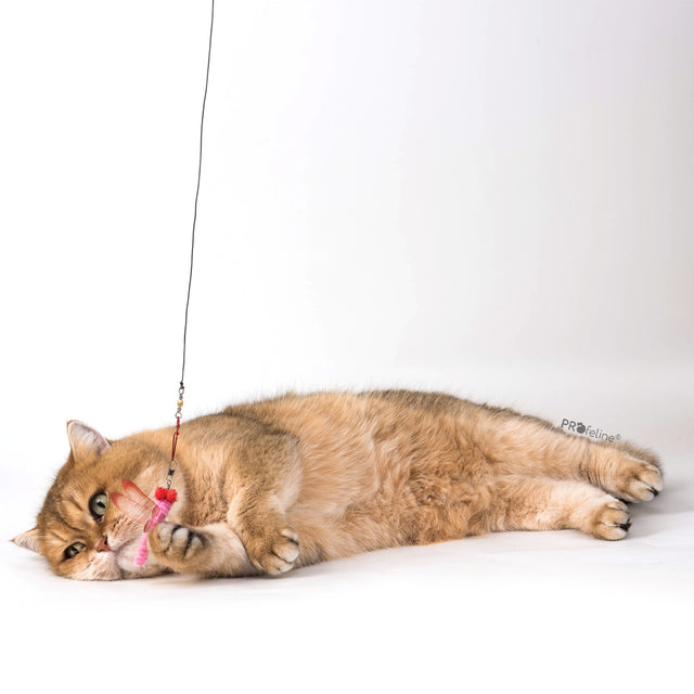 Profeline - Cat Toy Dragonfly & Bug Refill