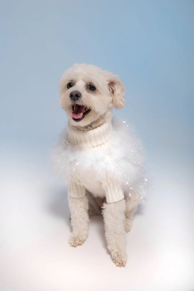 Christian Cowan X Max Bone Dog Jumper - Holiday Snow White