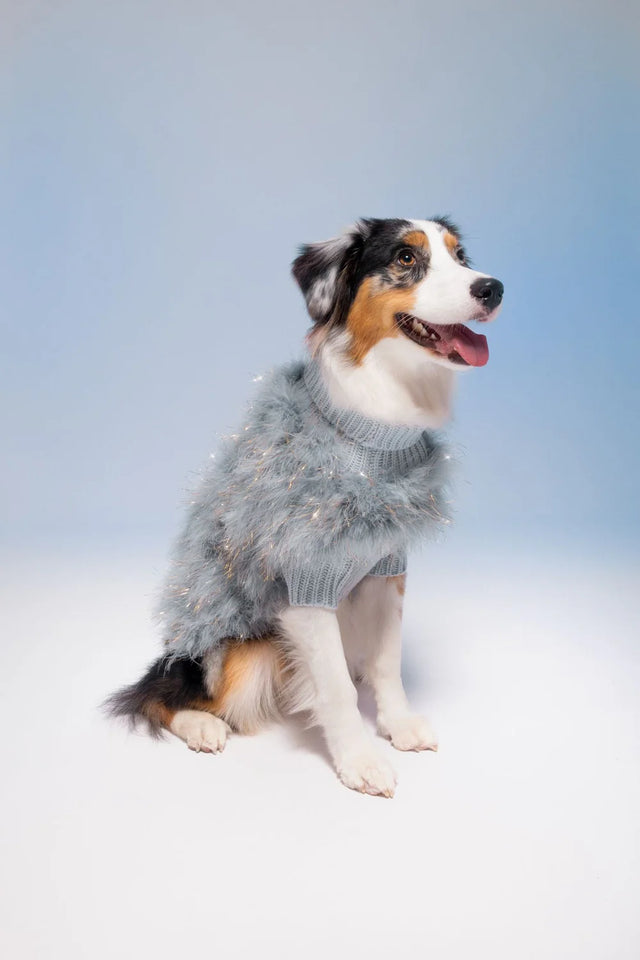 Christian Cowan X Max Bone Dog Jumper - Holiday Periwinkle