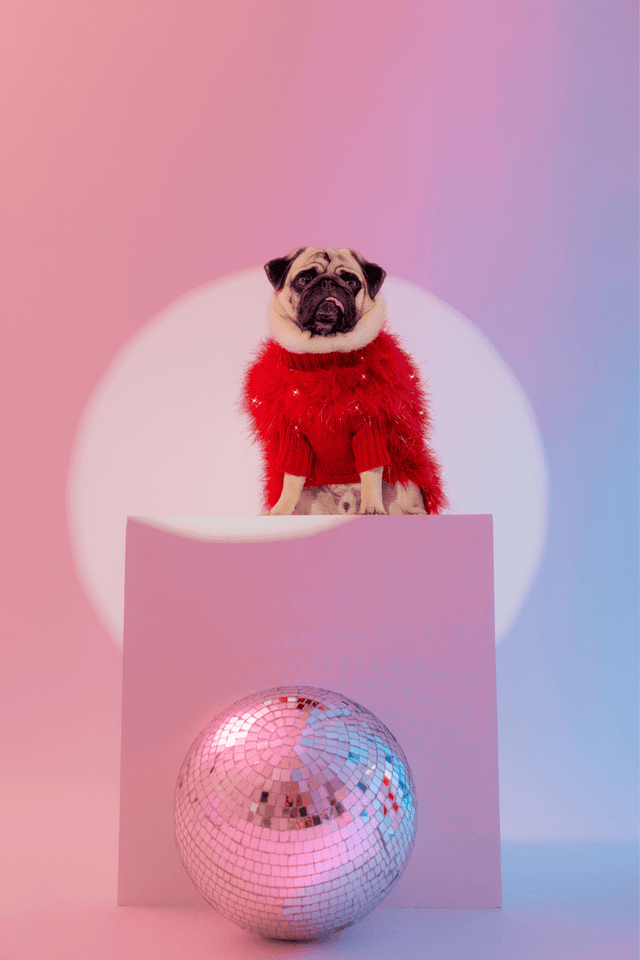 Max Bone Christian Cowan Holiday Glitz Jumper Red
