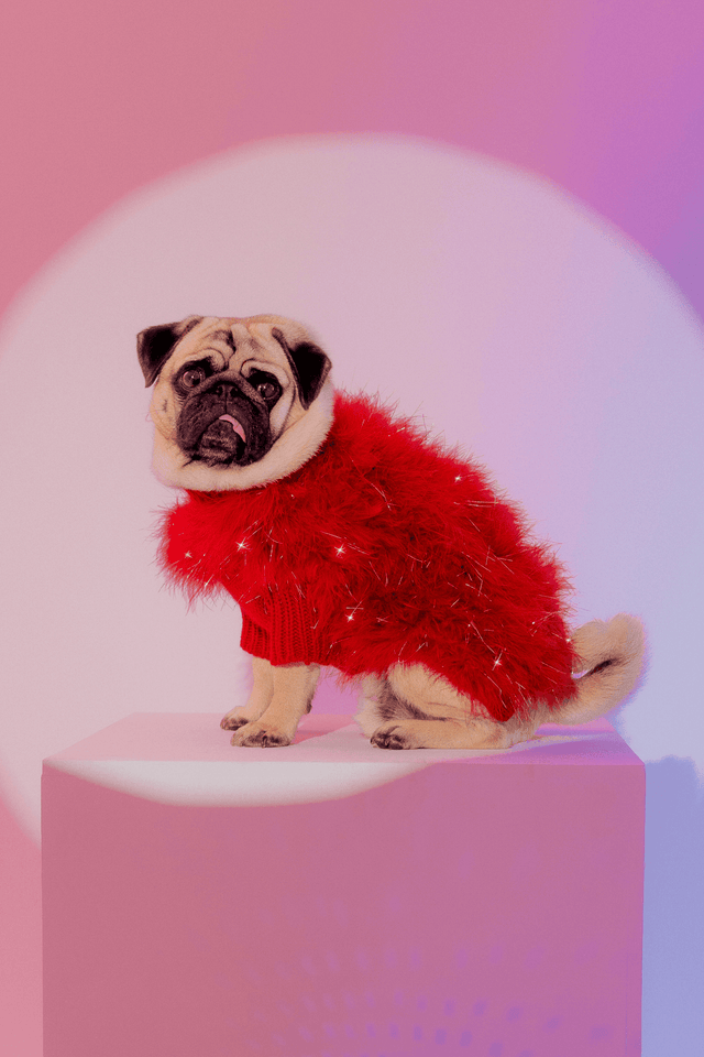 Max Bone Christian Cowan Holiday Glitz Jumper Red