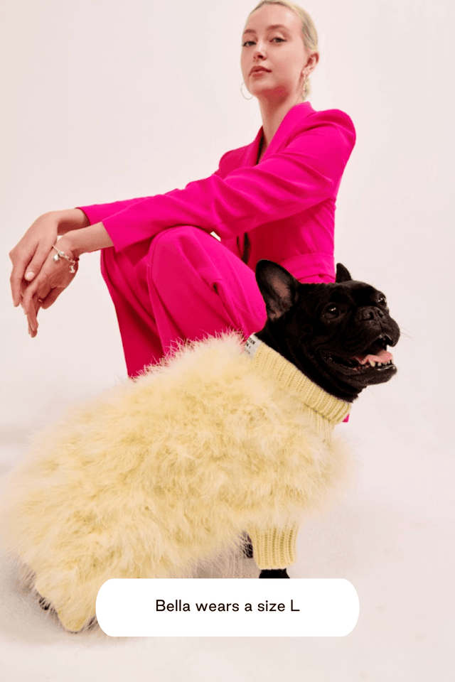 Christian Cowan X Max Bone Dog Jumper - Yellow