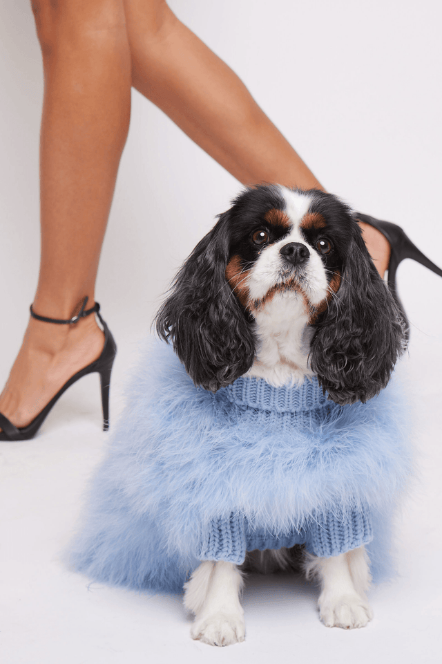 Christian Cowan X Max Bone Dog Jumper - Light Blue