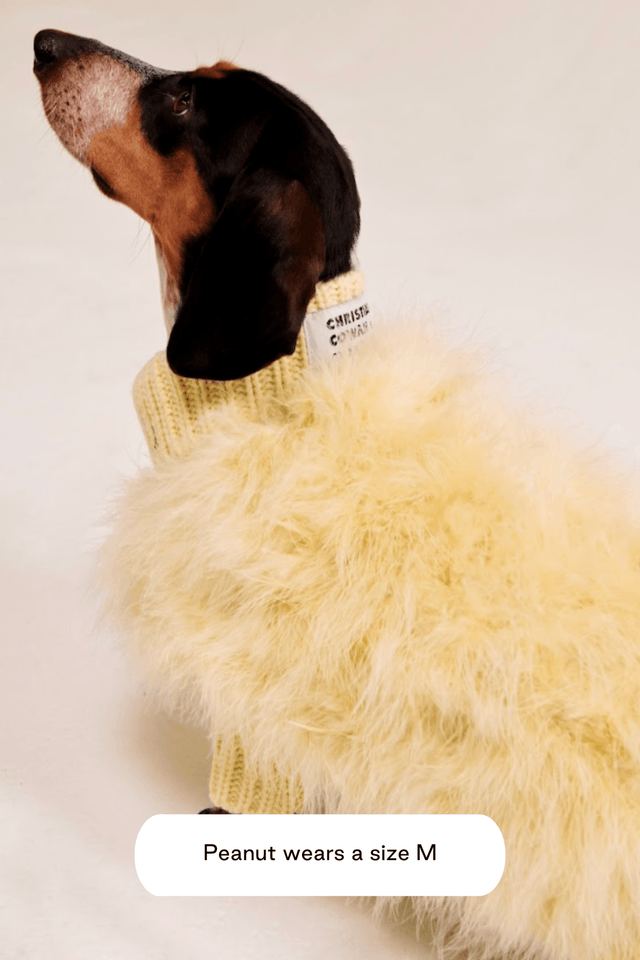 Christian Cowan X Max Bone Dog Jumper - Yellow