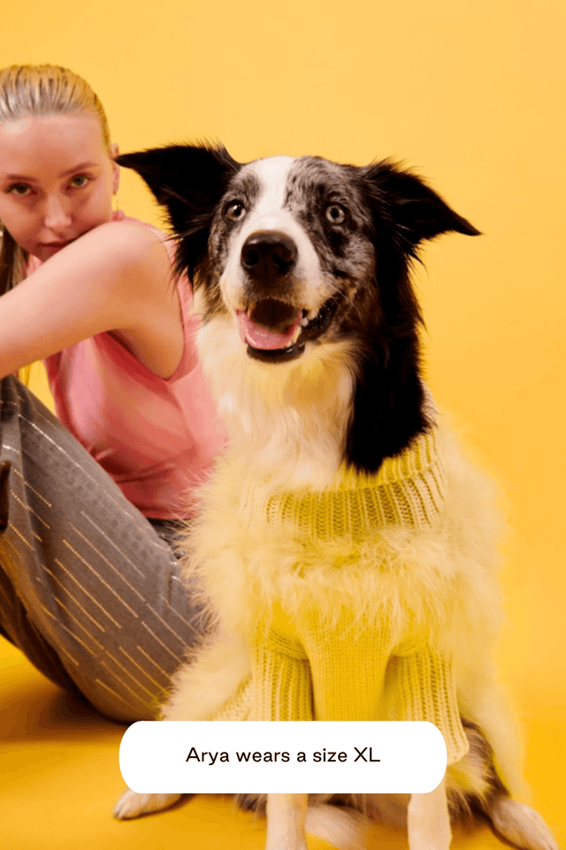 Christian Cowan X Max Bone Dog Jumper - Yellow