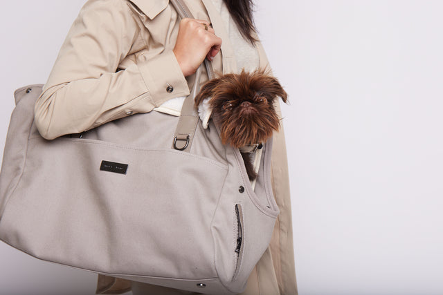 Max Bone City Carrier Bag