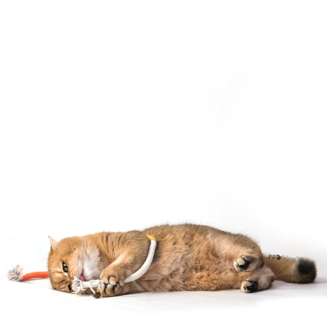 Profeline - Cotton Cat Play Rope
