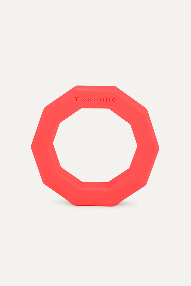 Max Bone Decagon Rubber Toy