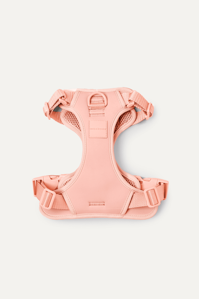 Max Bone Double Panel Harness - Peach