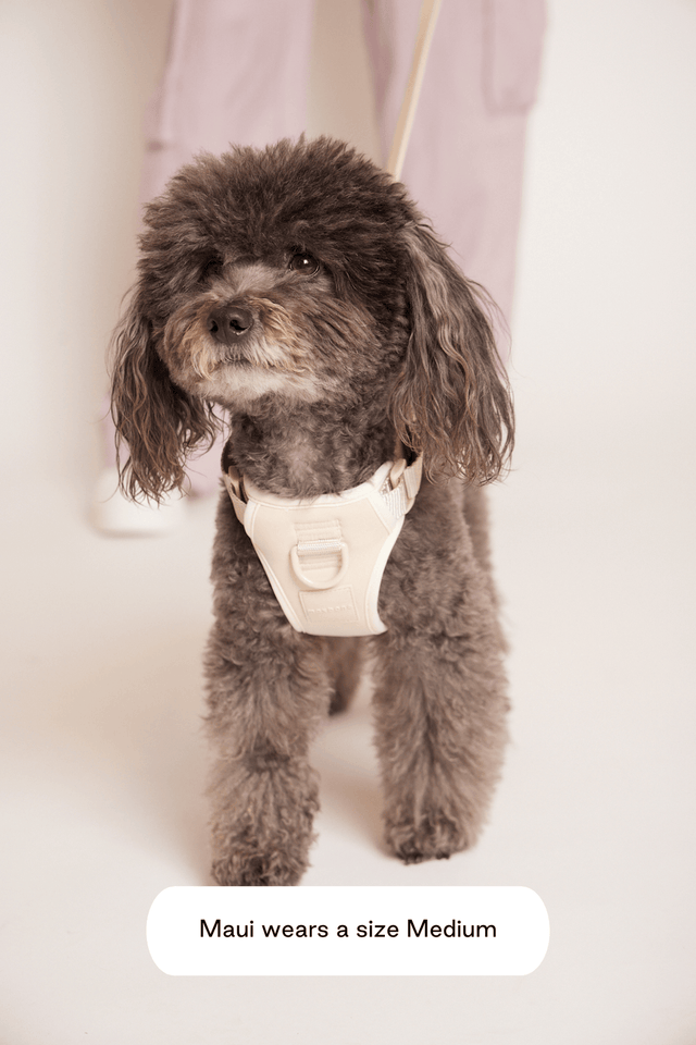 Max Bone Double Panel Harness - Sand