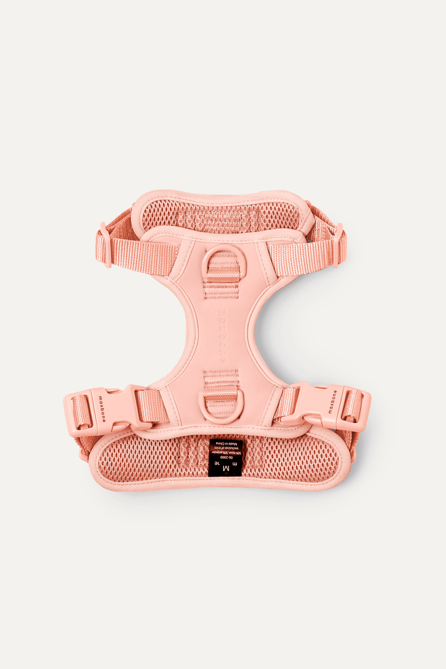 Max Bone Double Panel Harness - Peach
