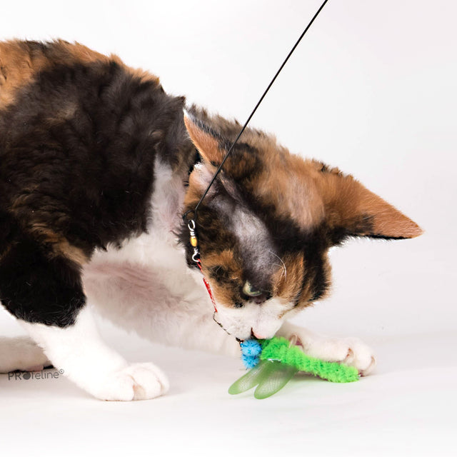 Profeline - Cat Toy Dragonfly & Bug Refill