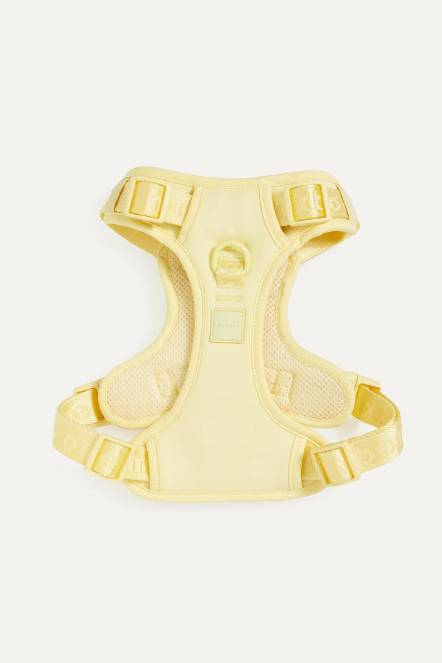 Max Bone Easy Fit Dog Harness - Yellow