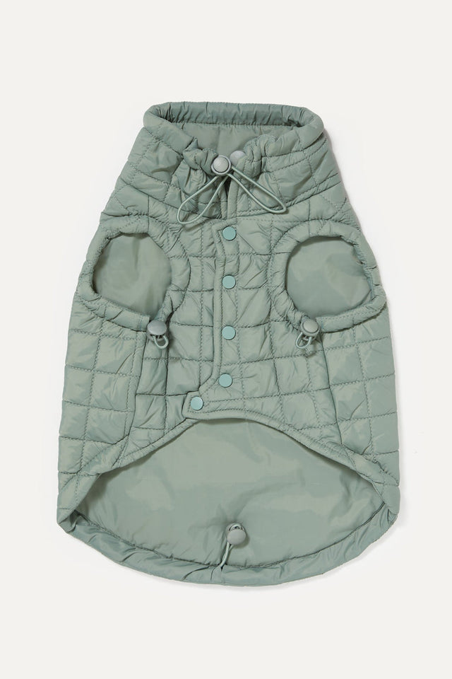 Max Bone Easy Fit Dog Jacket - Sage