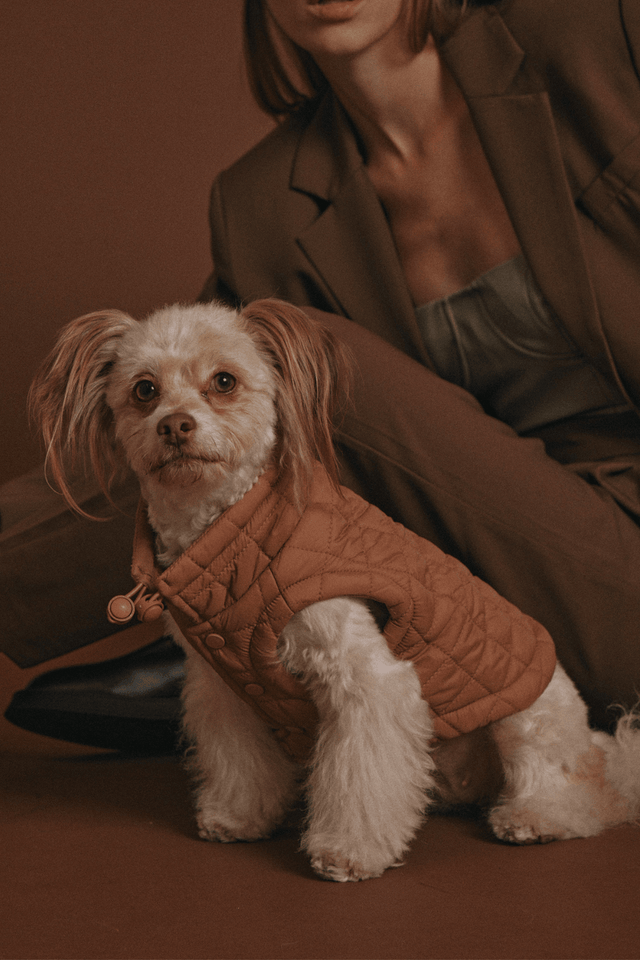 Max Bone Easy Fit Dog Jacket - Camel